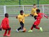 Plateau U8-U9<br />29/02/2020